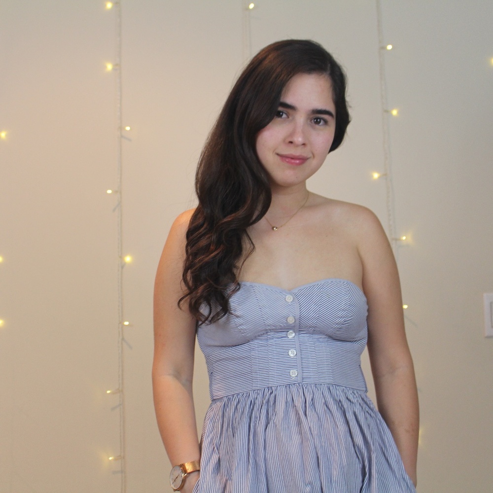 American Eagle Fancy Corset Dress